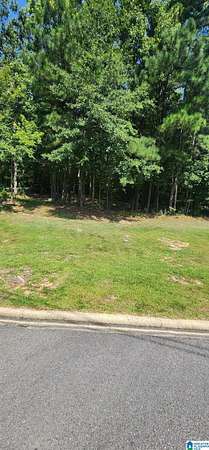 0.02 Acres of Residential Land for Sale in Oneonta, Alabama
