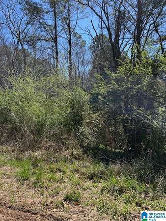 3.36 Acres of Residential Land for Sale in McCalla, Alabama