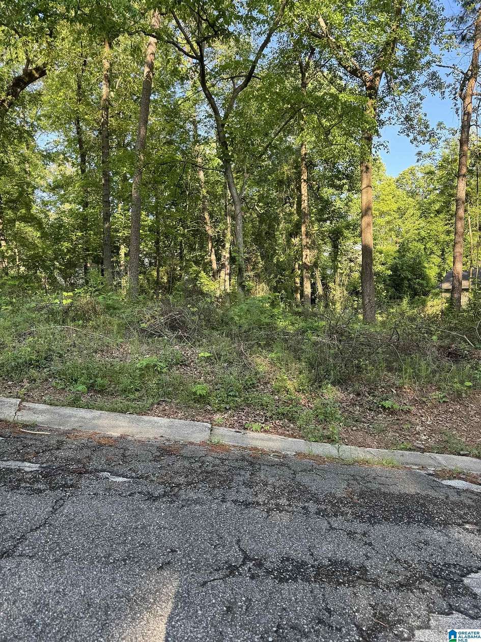 0.44 Acres of Residential Land for Sale in Mount Olive, Alabama