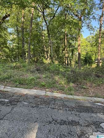 0.44 Acres of Residential Land for Sale in Mount Olive, Alabama