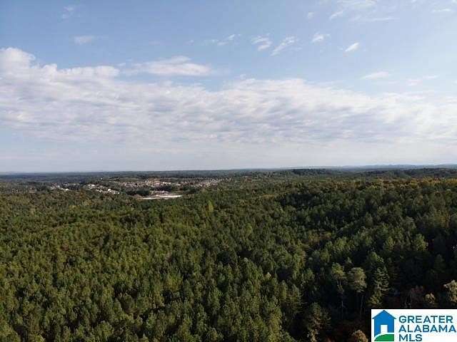 31.5 Acres of Recreational & Residential Land for Sale in Brookside, Alabama