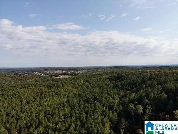 31.5 Acres of Recreational & Residential Land for Sale in Brookside, Alabama