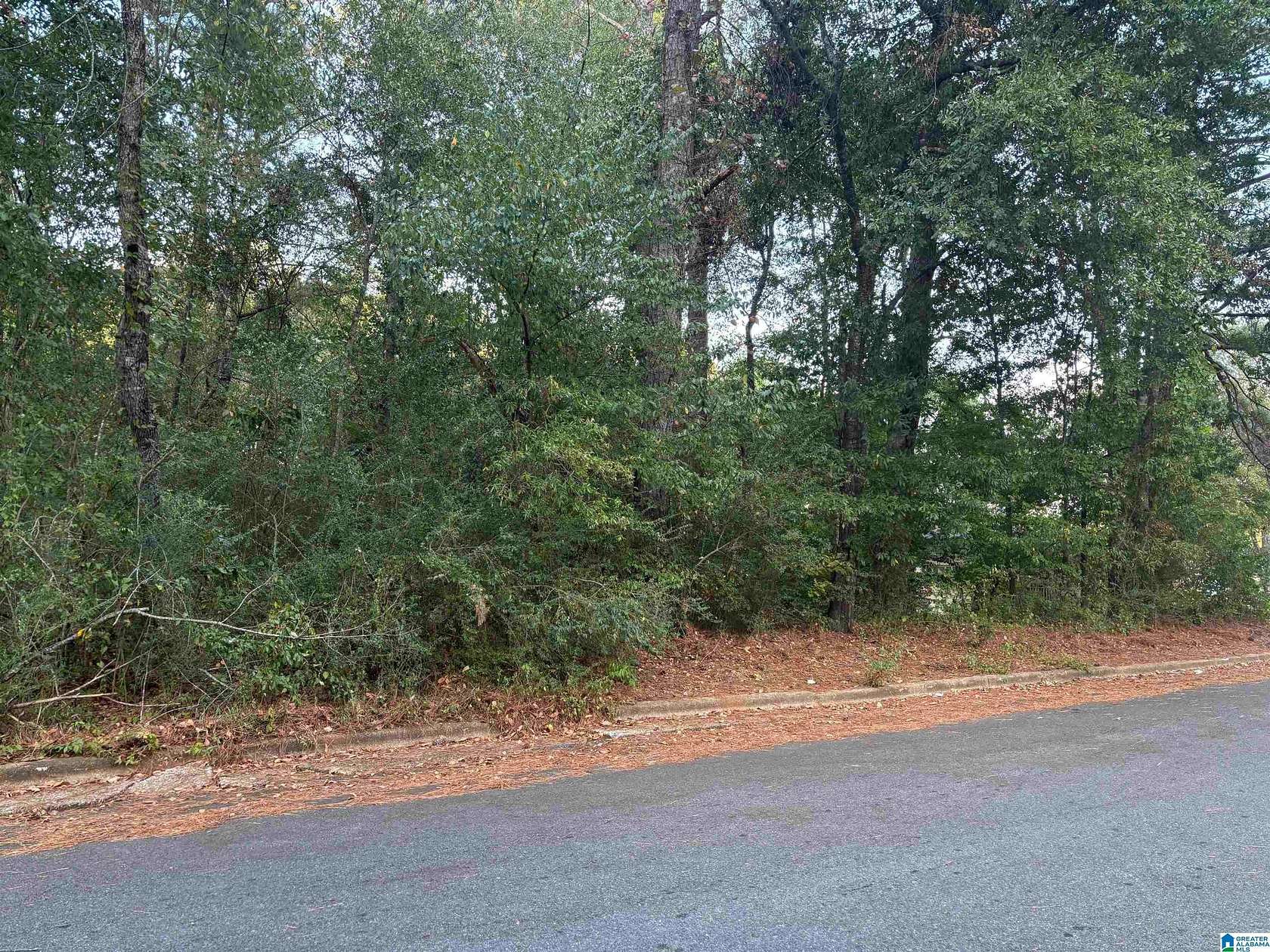 0.9 Acres of Residential Land for Sale in Sylacauga, Alabama