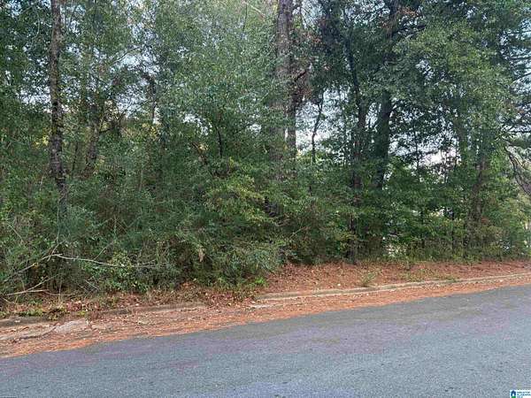 0.9 Acres of Residential Land for Sale in Sylacauga, Alabama