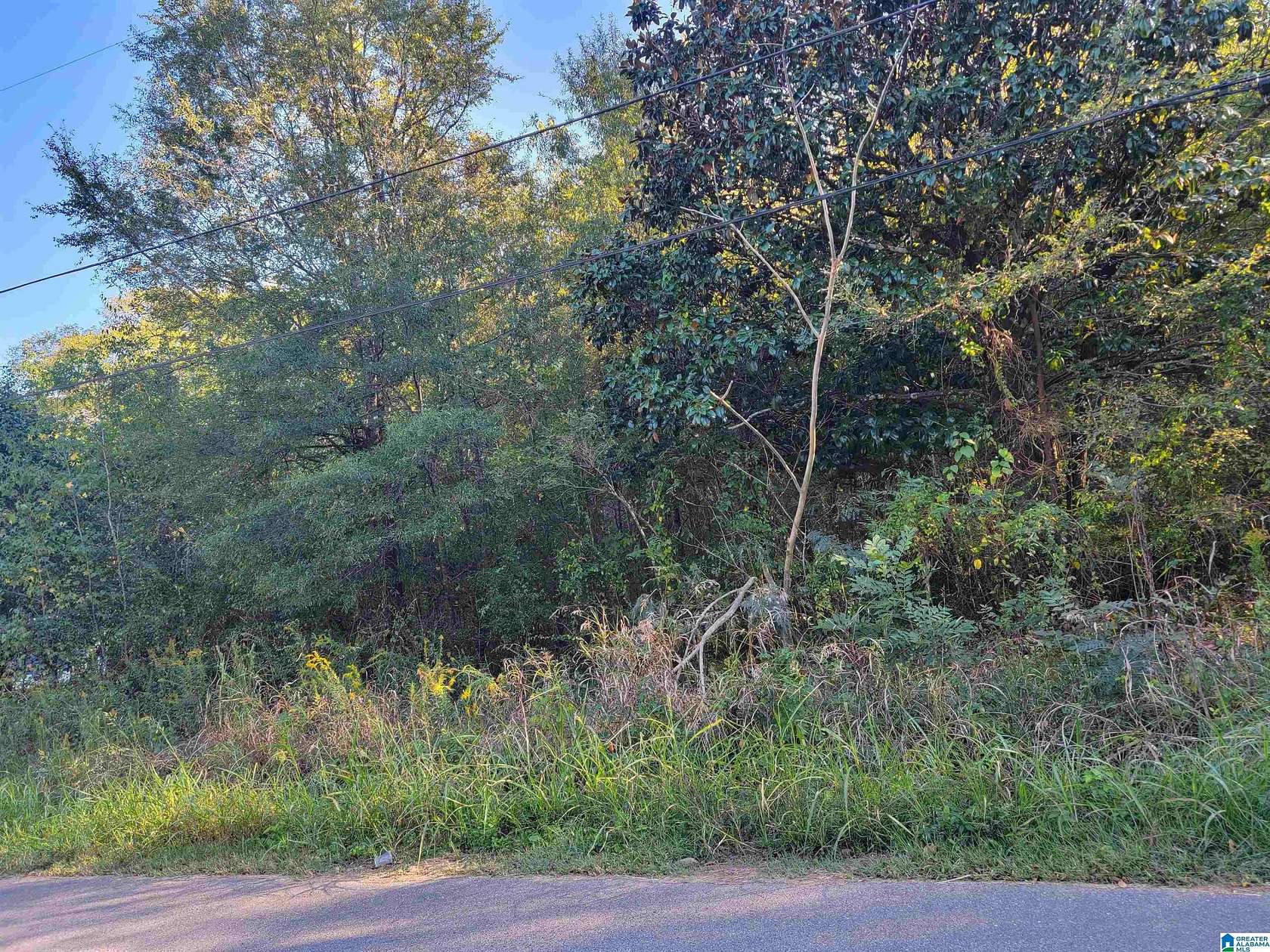 0.16 Acres of Residential Land for Sale in Bessemer, Alabama