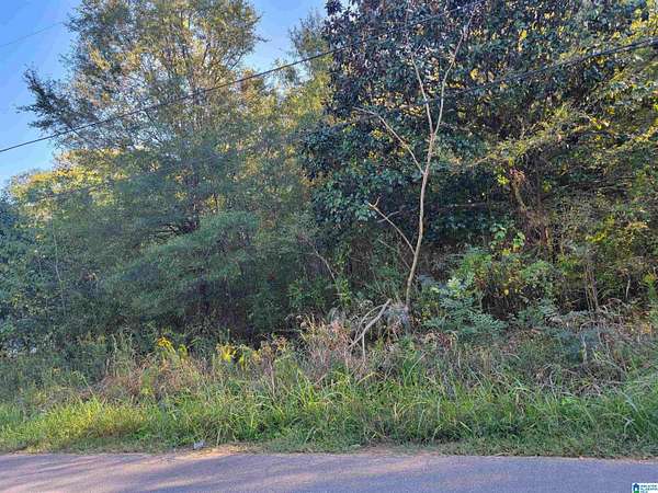0.16 Acres of Residential Land for Sale in Bessemer, Alabama