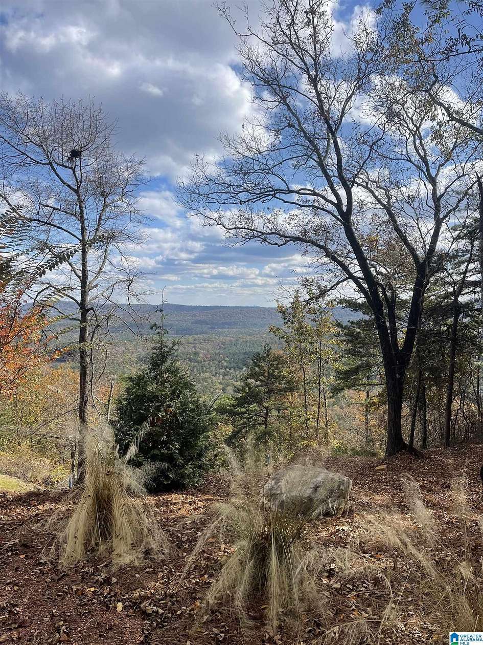 3 Acres of Residential Land for Sale in Vandiver, Alabama