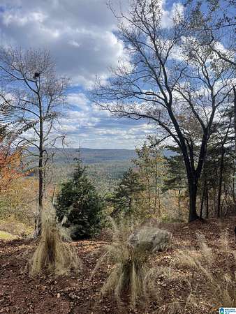 3 Acres of Residential Land for Sale in Vandiver, Alabama