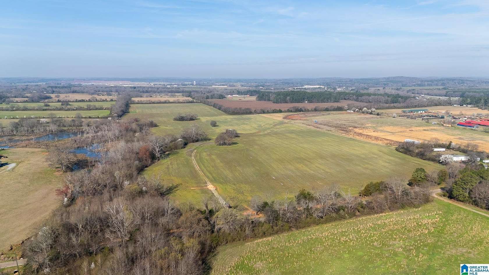 85.9 Acres of Land for Sale in Eastaboga, Alabama