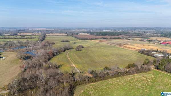 85.9 Acres of Land for Sale in Eastaboga, Alabama
