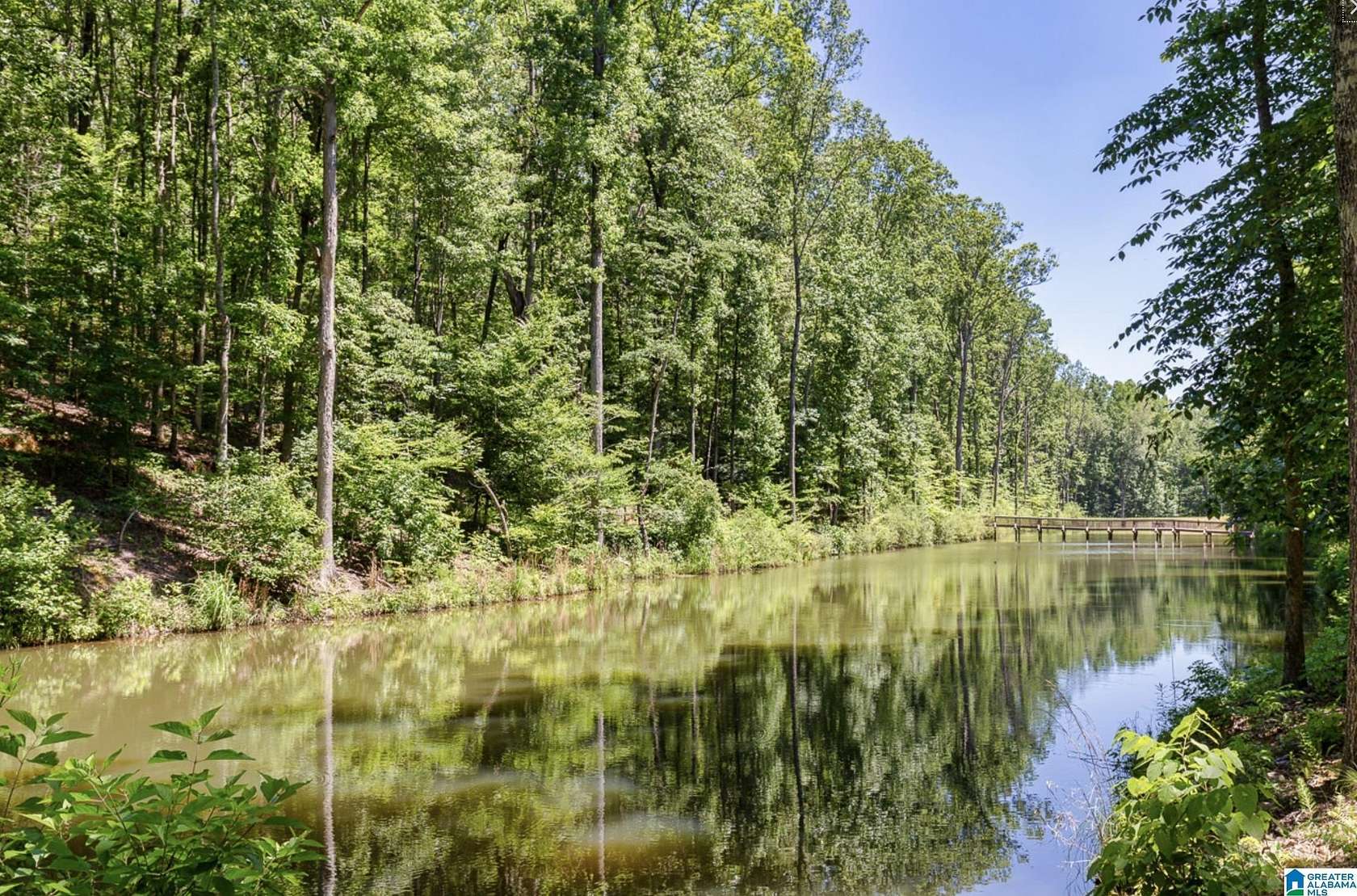 1.57 Acres of Residential Land for Sale in Chelsea, Alabama
