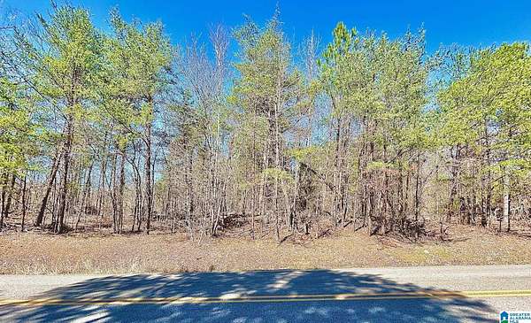 15 Acres of Land for Sale in Warrior, Alabama