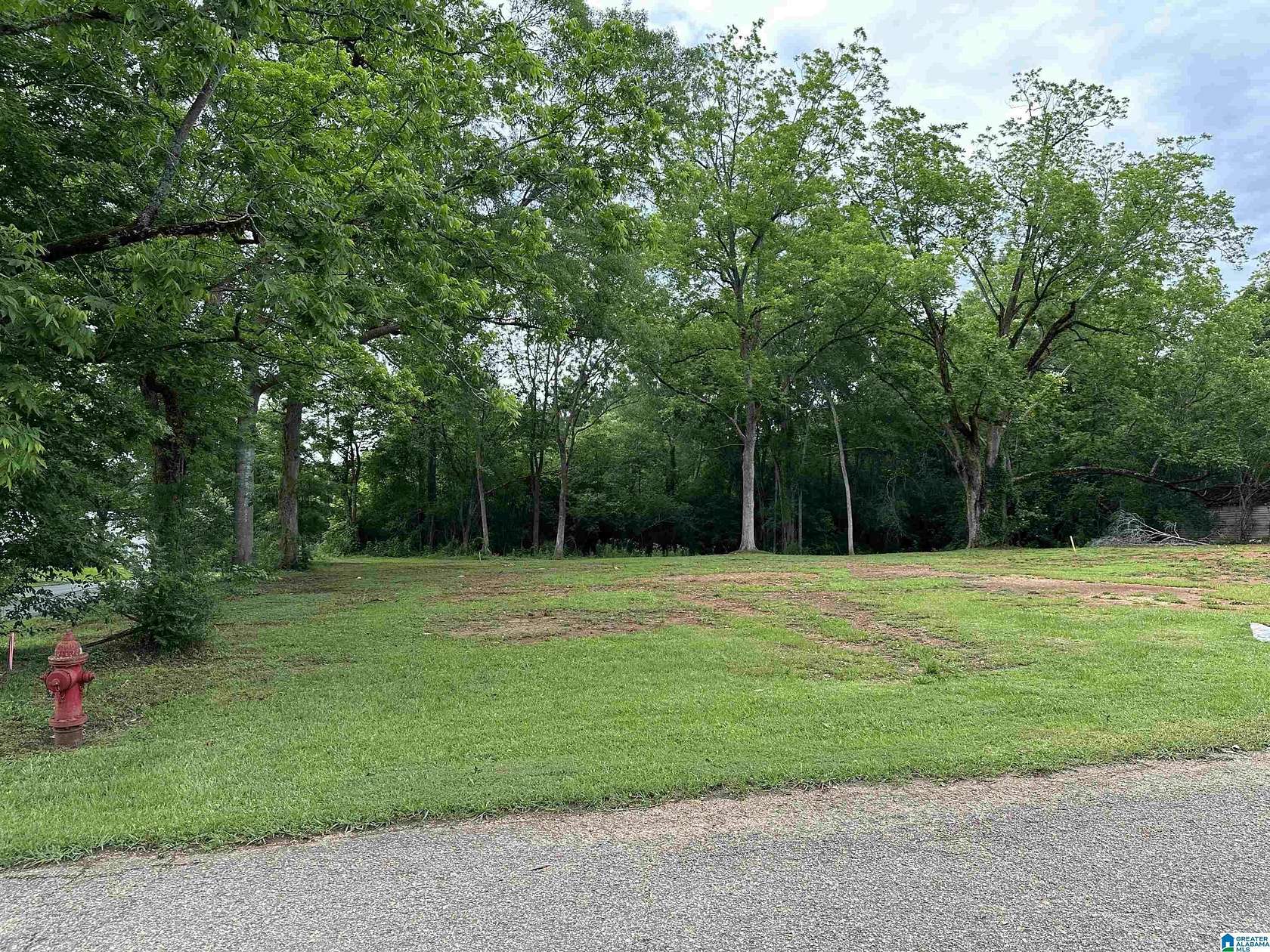 0.33 Acres of Residential Land for Sale in Wadley, Alabama