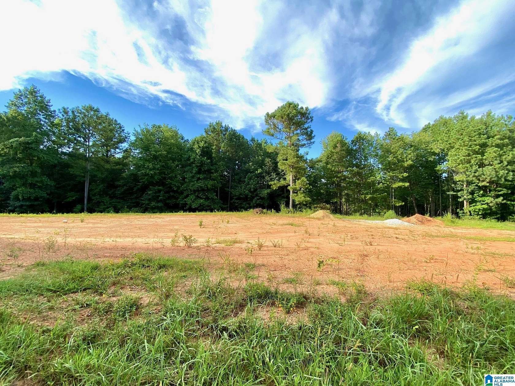 10 Acres of Residential Land for Sale in Ranburne, Alabama