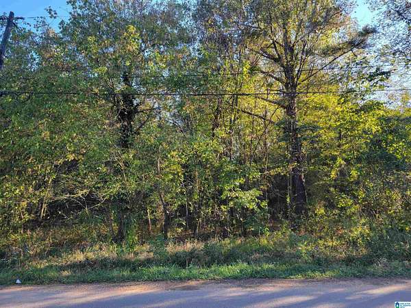 0.16 Acres of Residential Land for Sale in Bessemer, Alabama
