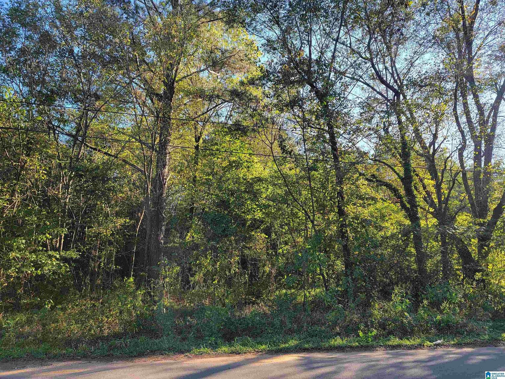 0.16 Acres of Residential Land for Sale in Bessemer, Alabama