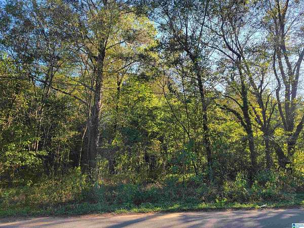 0.16 Acres of Residential Land for Sale in Bessemer, Alabama