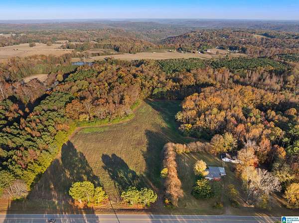 19 Acres of Land for Sale in Falkville, Alabama