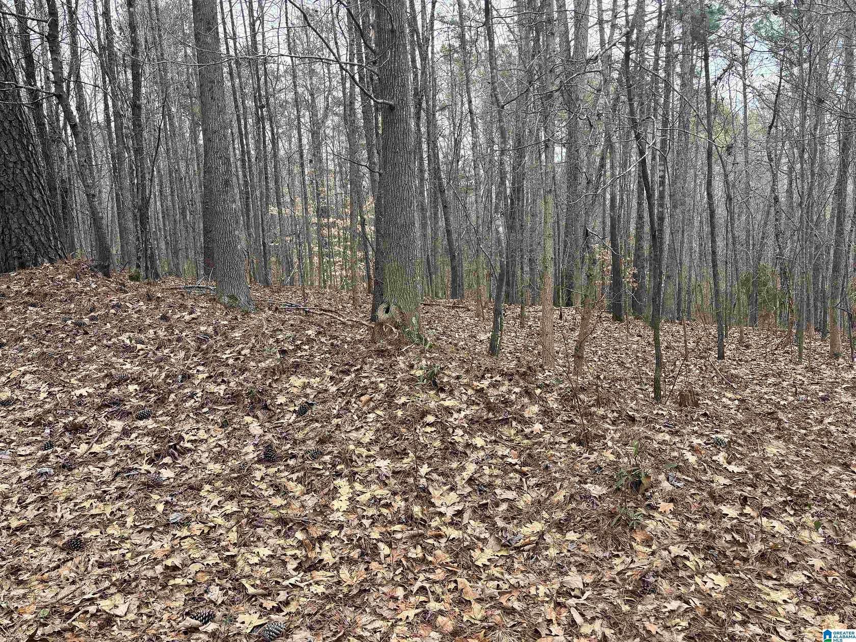 7.1 Acres of Land for Sale in Dora, Alabama