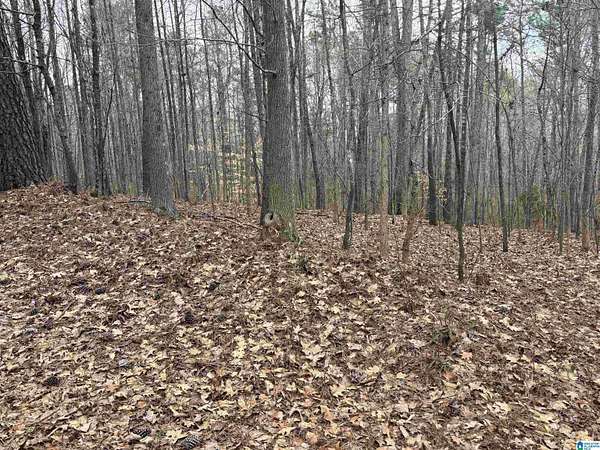 7.1 Acres of Land for Sale in Dora, Alabama