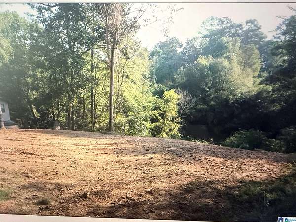 0.04 Acres of Residential Land for Sale in Bessemer, Alabama