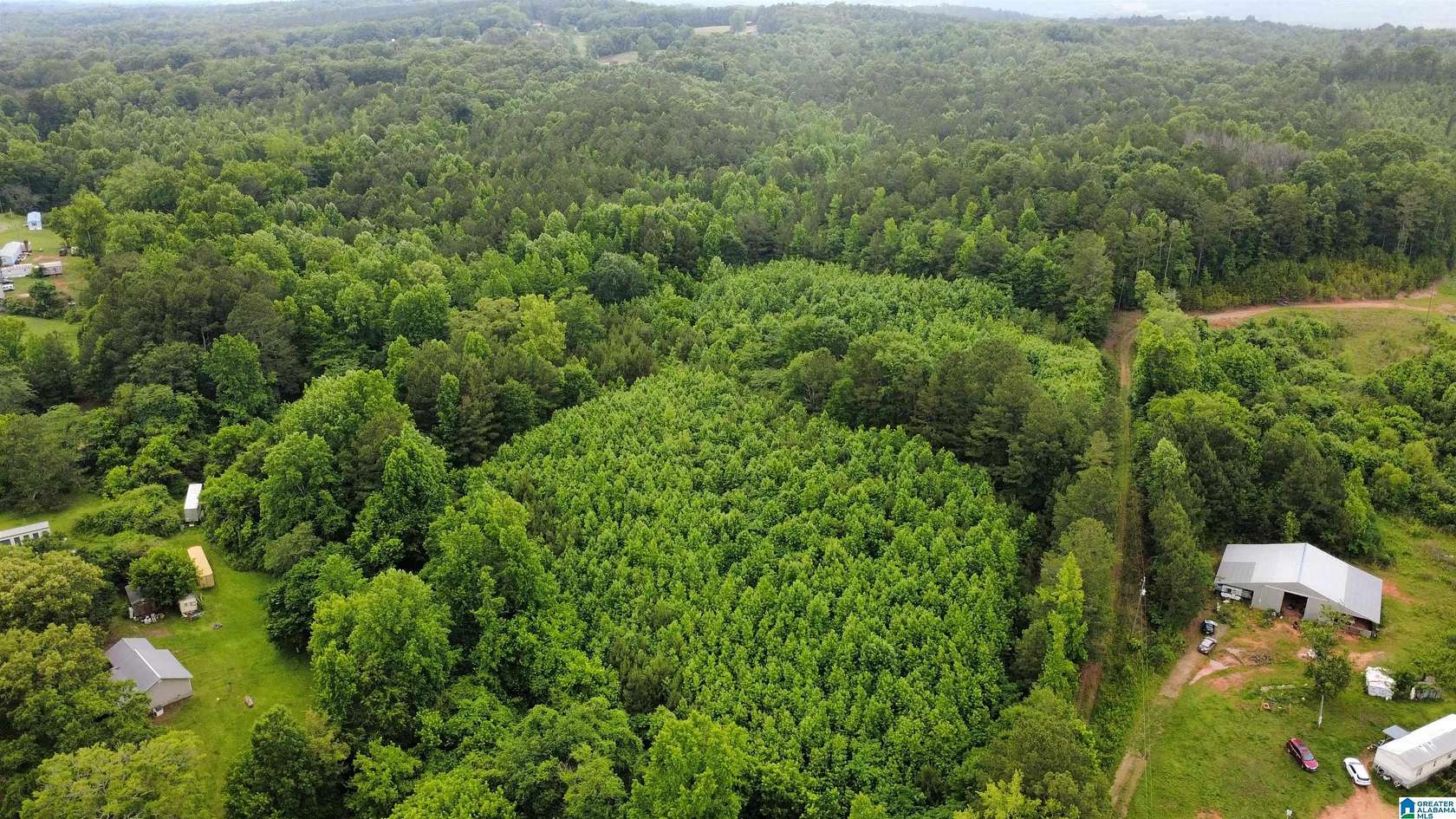 56.6 Acres of Recreational & Residential Land for Sale in Heflin, Alabama