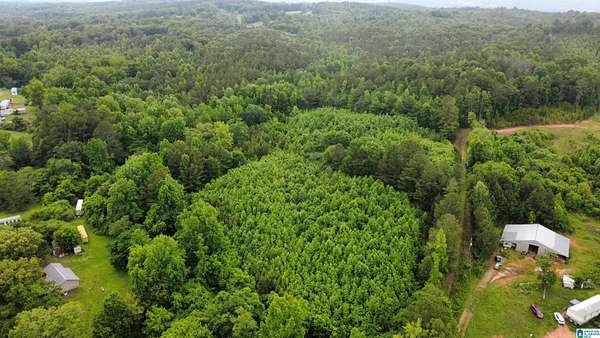 56.6 Acres of Recreational & Residential Land for Sale in Heflin, Alabama