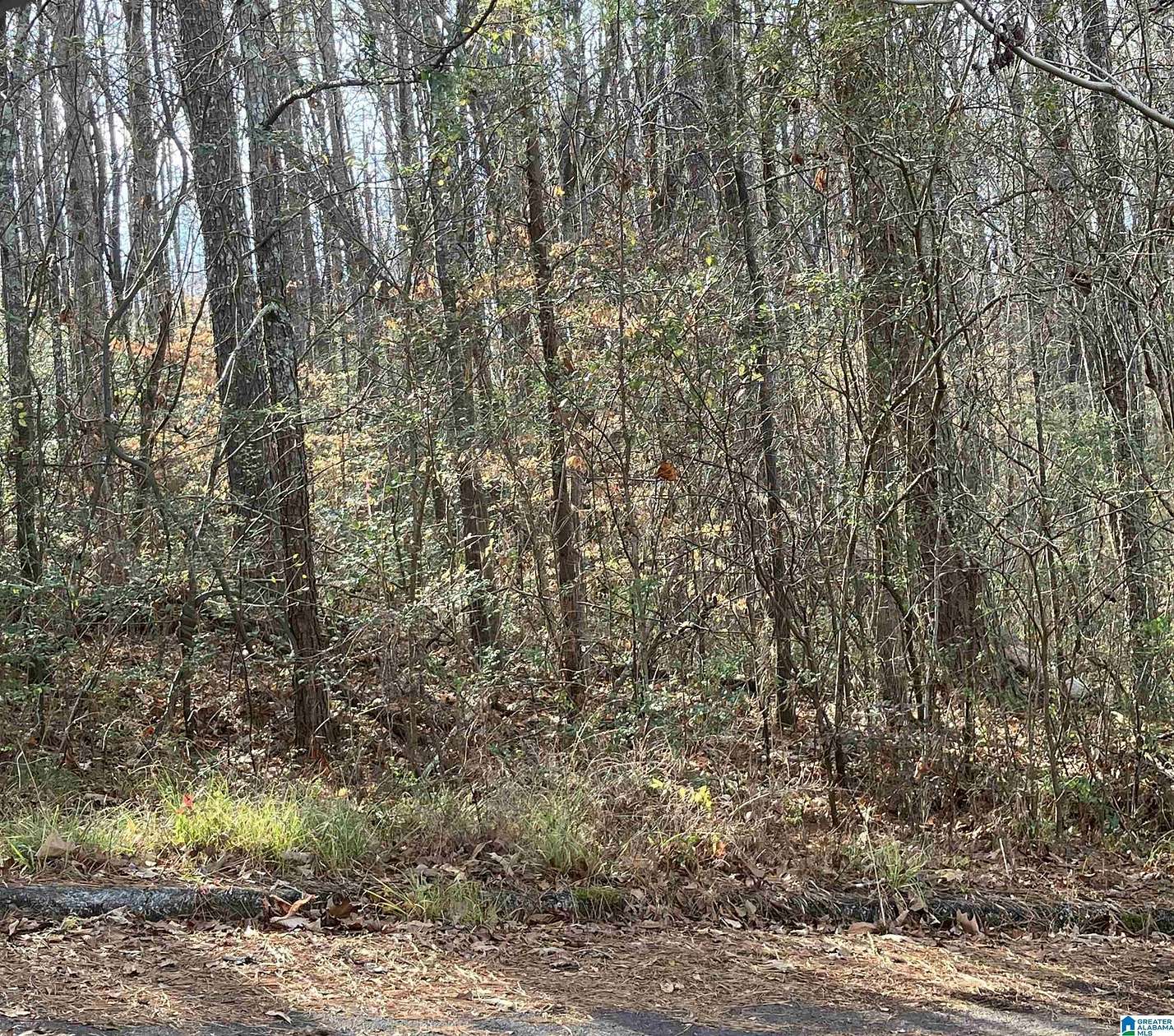 2 Acres of Residential Land for Sale in Springville, Alabama