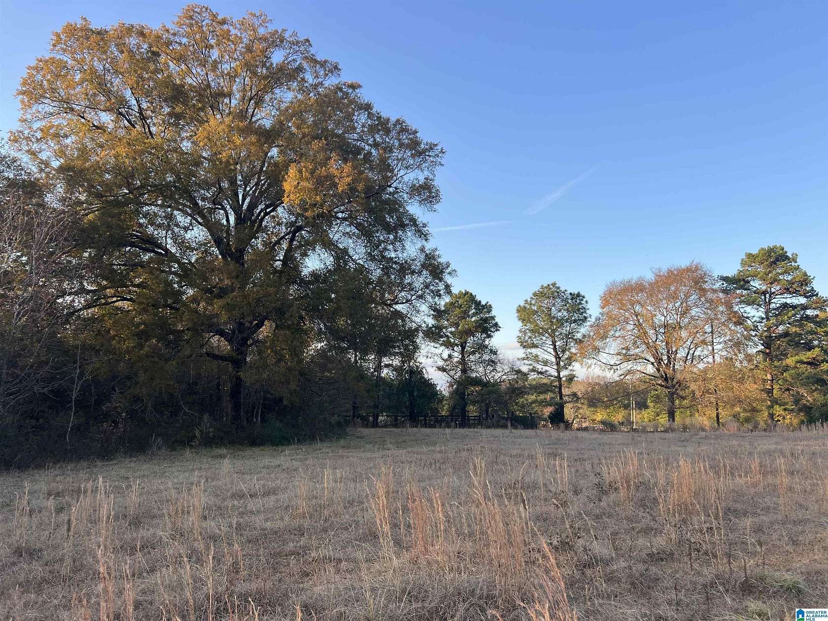 11 Acres of Recreational & Residential Land for Sale in Alpine, Alabama