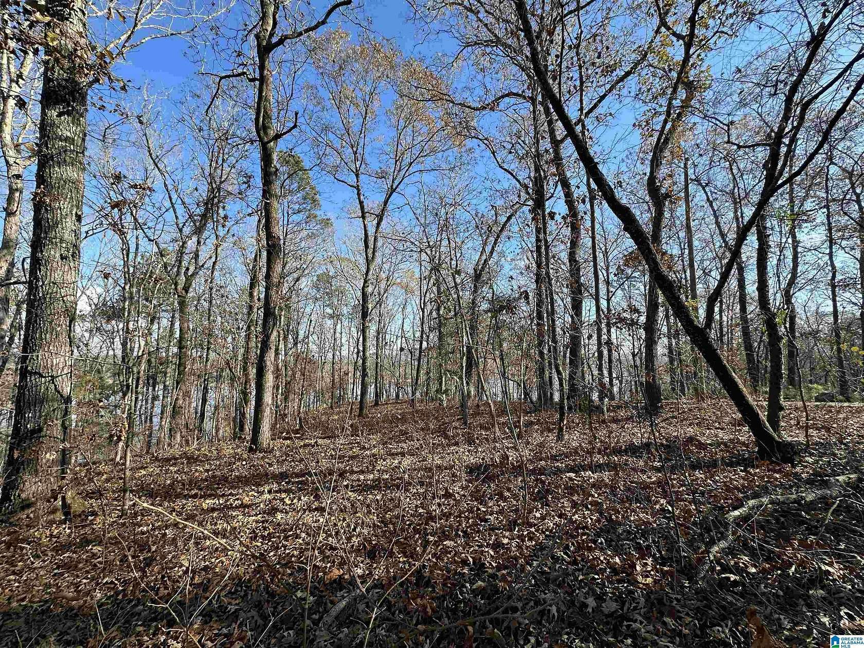 3 Acres of Residential Land for Sale in Sylacauga, Alabama