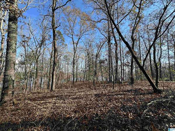 3 Acres of Residential Land for Sale in Sylacauga, Alabama