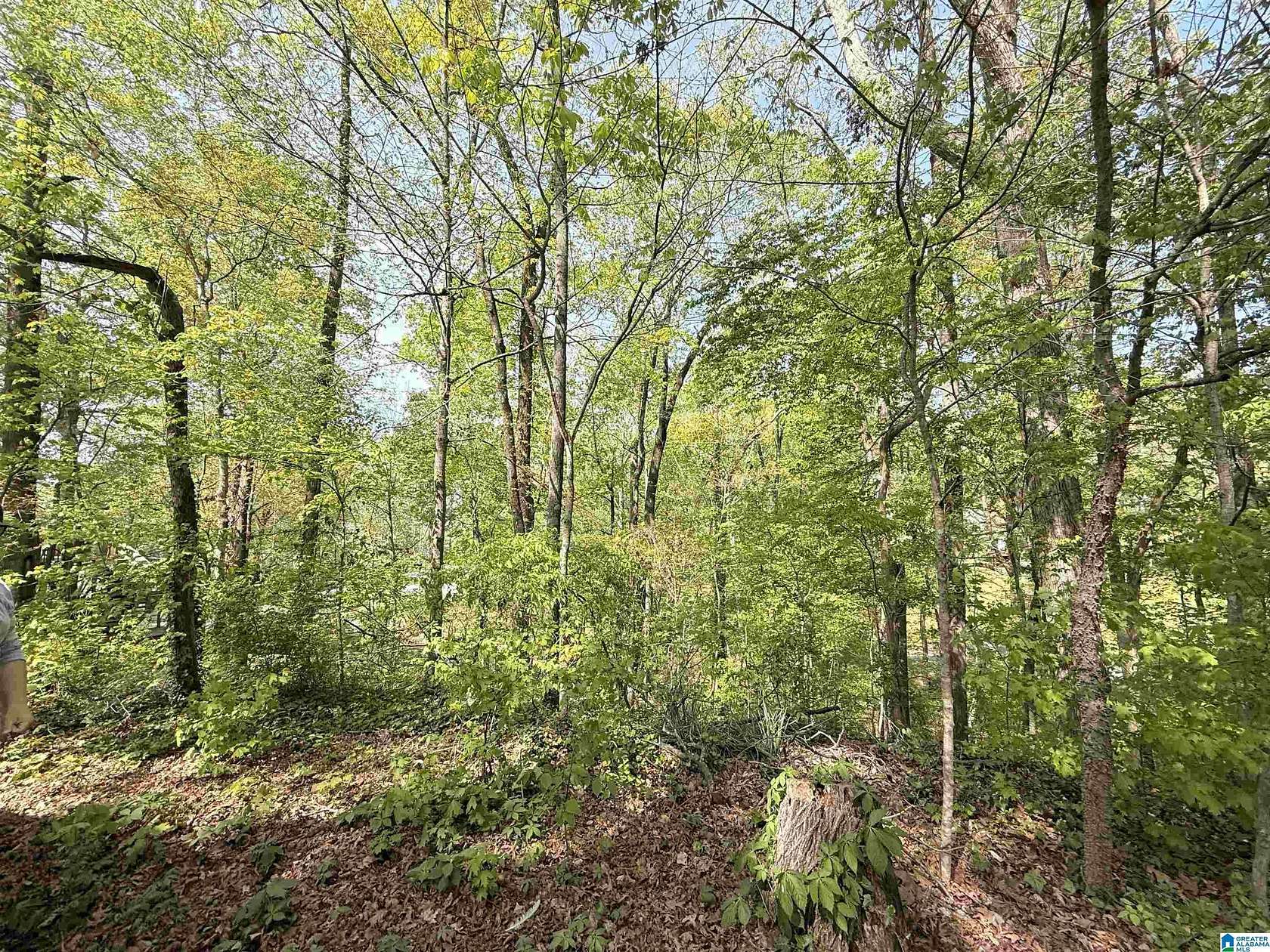 0.21 Acres of Land for Sale in Athens, Alabama