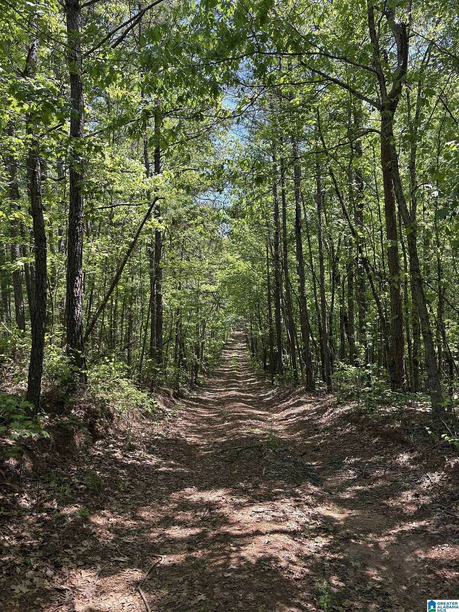 79 Acres of Recreational & Residential Land for Sale in Wadley, Alabama