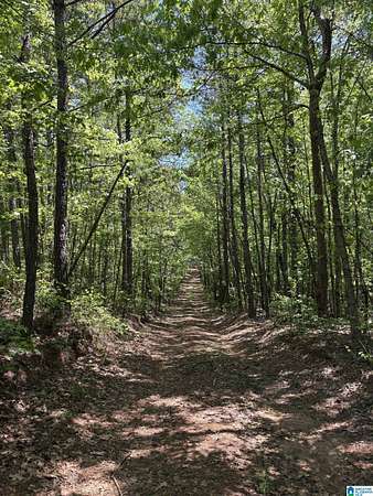 79 Acres of Recreational & Residential Land for Sale in Wadley, Alabama