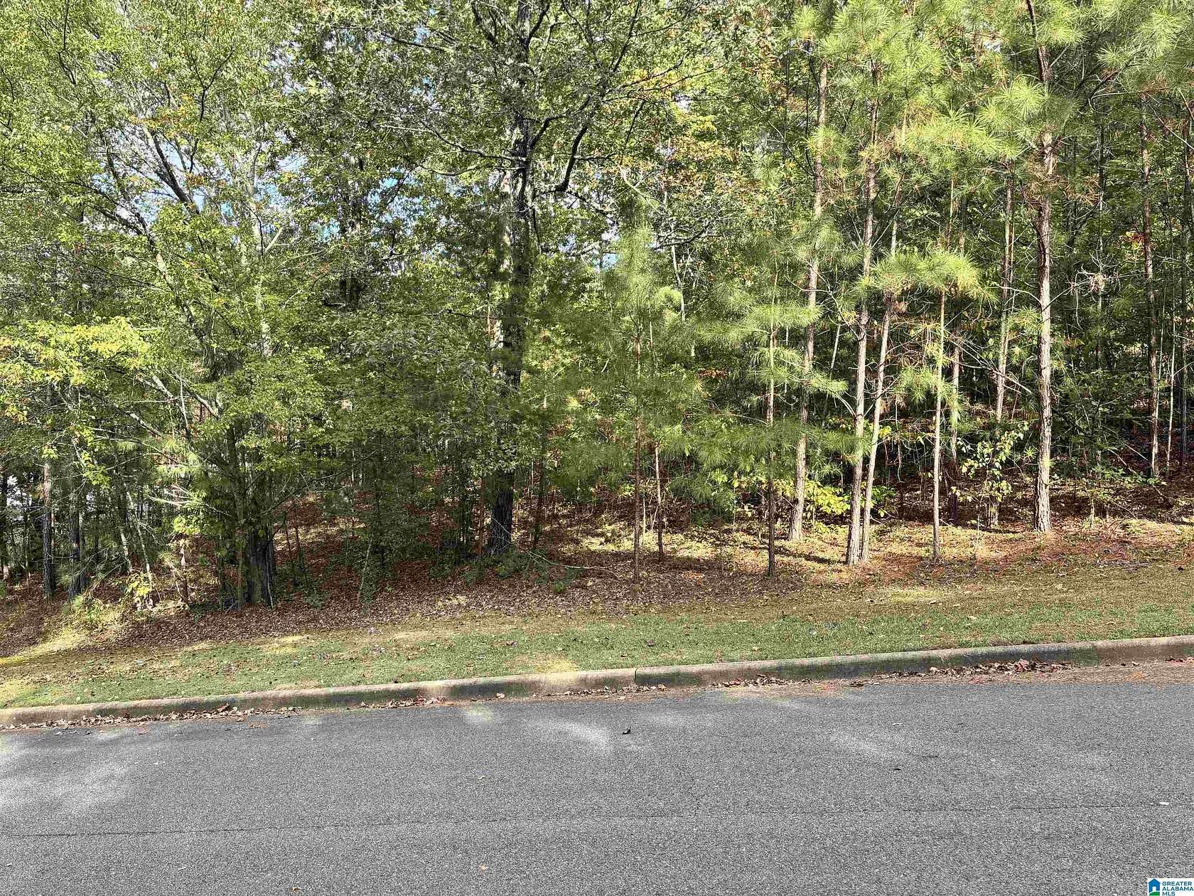 0.7 Acres of Residential Land for Sale in Dora, Alabama