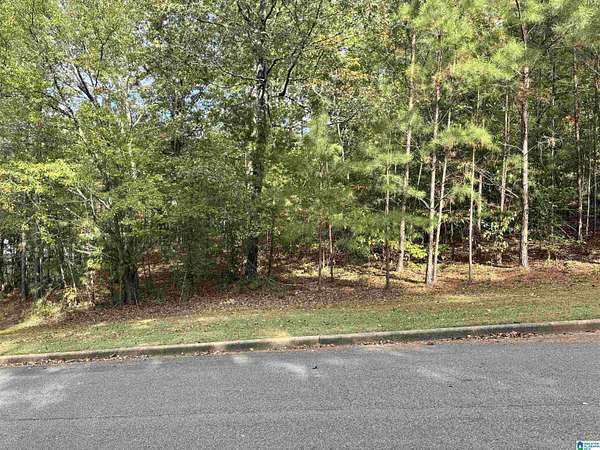 0.7 Acres of Residential Land for Sale in Dora, Alabama