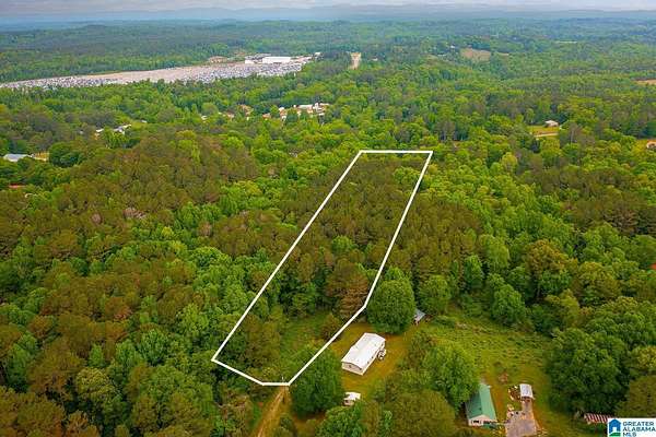 3.1 Acres of Land for Sale in Trafford, Alabama