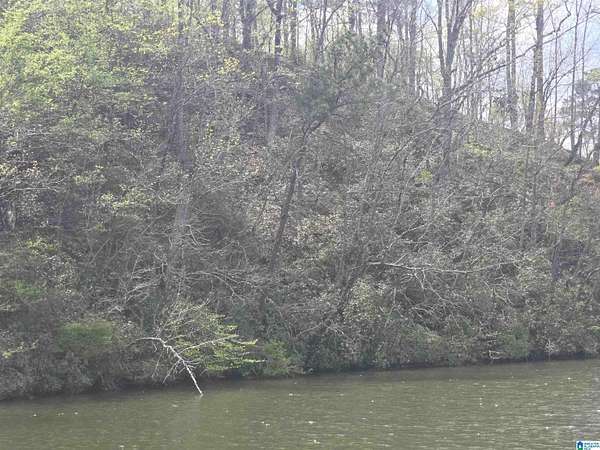 1.5 Acres of Land for Sale in Rockford, Alabama