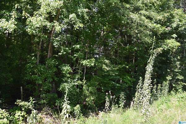 5 Acres of Land for Sale in Sylacauga, Alabama