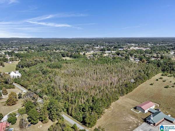 24 Acres of Land for Sale in Clanton, Alabama