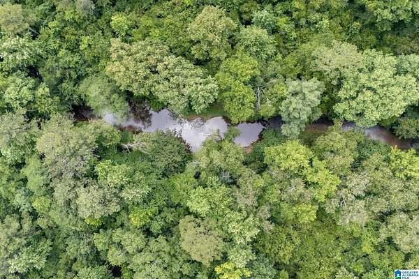 3.4 Acres of Residential Land for Sale in Ashville, Alabama