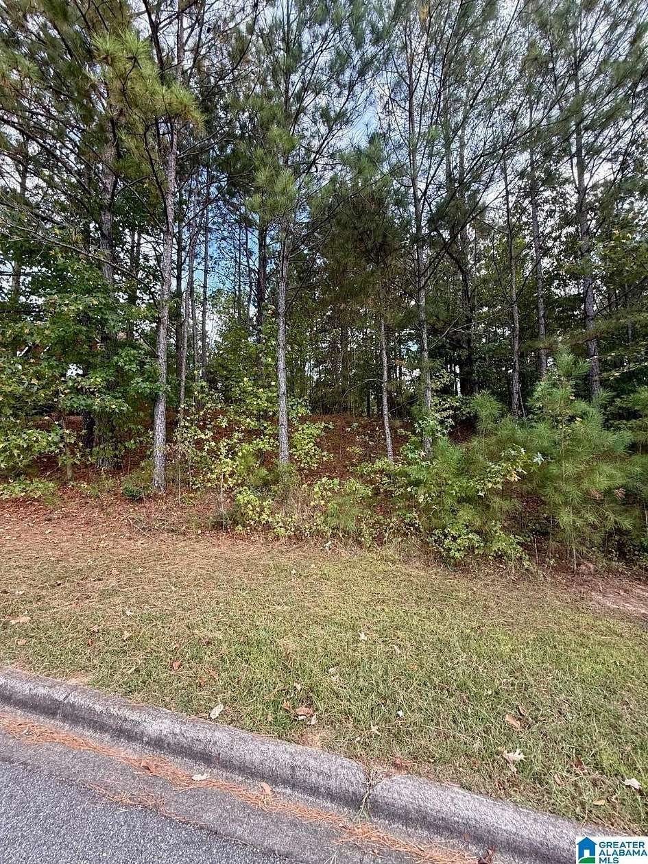 0.46 Acres of Residential Land for Sale in Chelsea, Alabama