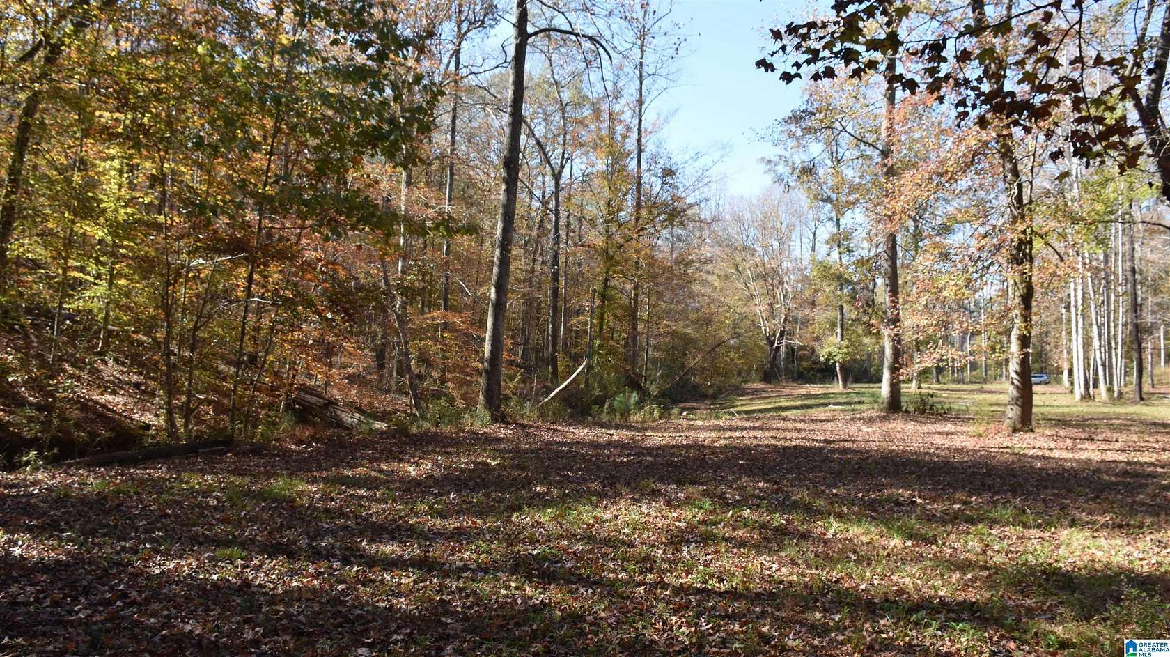 14 Acres of Land for Sale in Sylacauga, Alabama