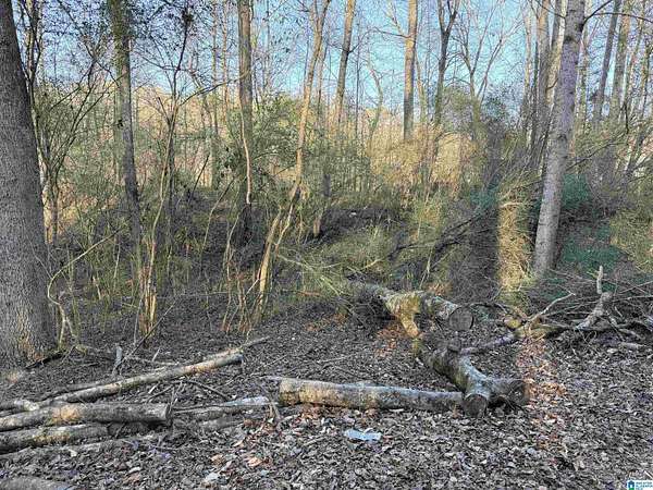0.5 Acres of Land for Sale in Cordova, Alabama
