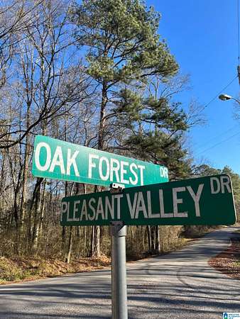 0.38 Acres of Residential Land for Sale in Birmingham, Alabama
