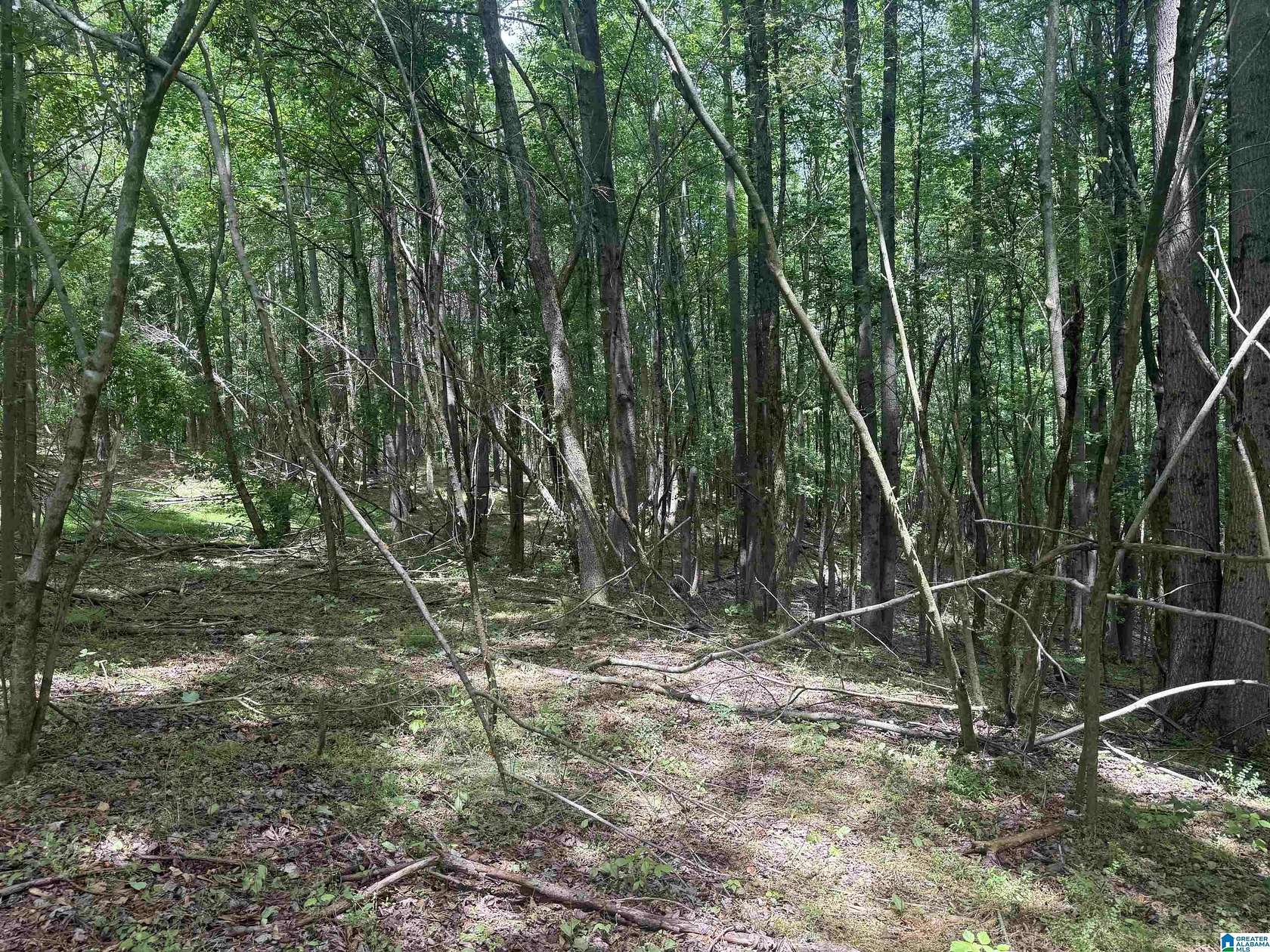 4 Acres of Residential Land for Sale in Ranburne, Alabama