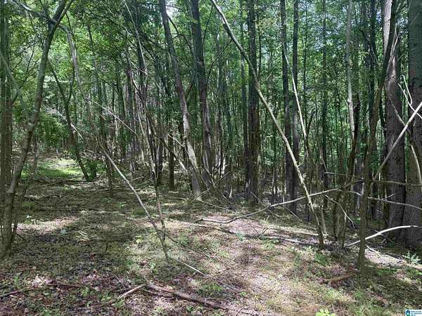 4 Acres of Residential Land for Sale in Ranburne, Alabama