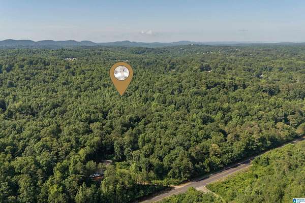 13 Acres of Land for Sale in Pinson, Alabama