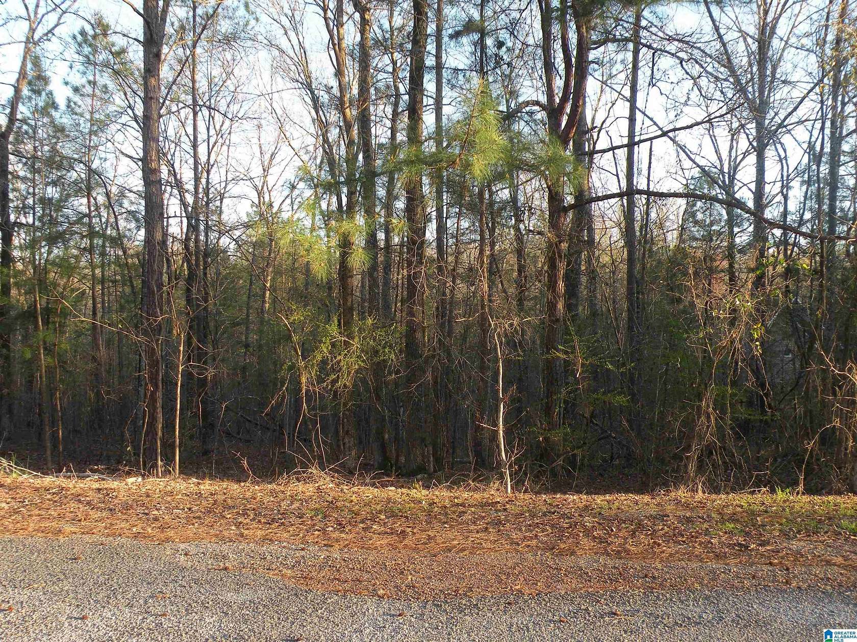 106 Acres of Recreational Land for Sale in Childersburg, Alabama