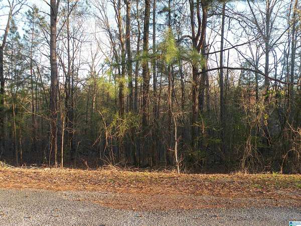 106 Acres of Recreational Land for Sale in Childersburg, Alabama